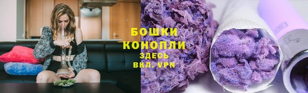 прущие грибы Алексеевка