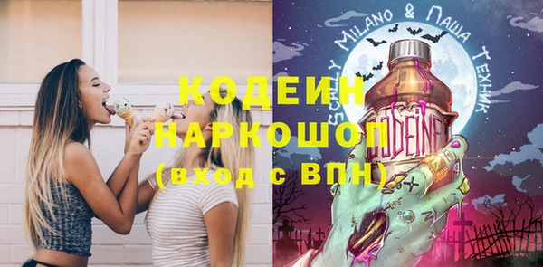 ешки Алексин