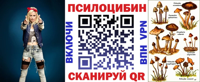 цена   Феодосия  Псилоцибиновые грибы мицелий 